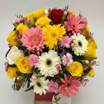 Gerberas De Verano